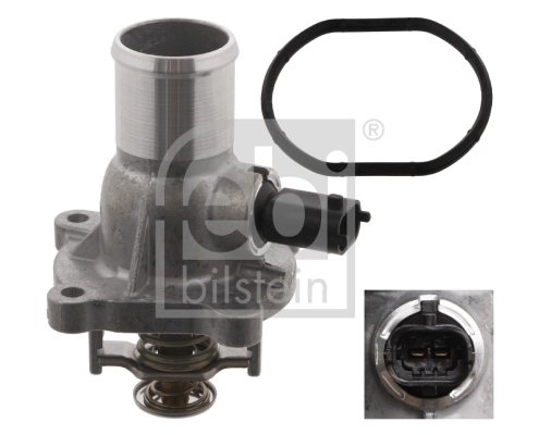 Thermostat, coolant